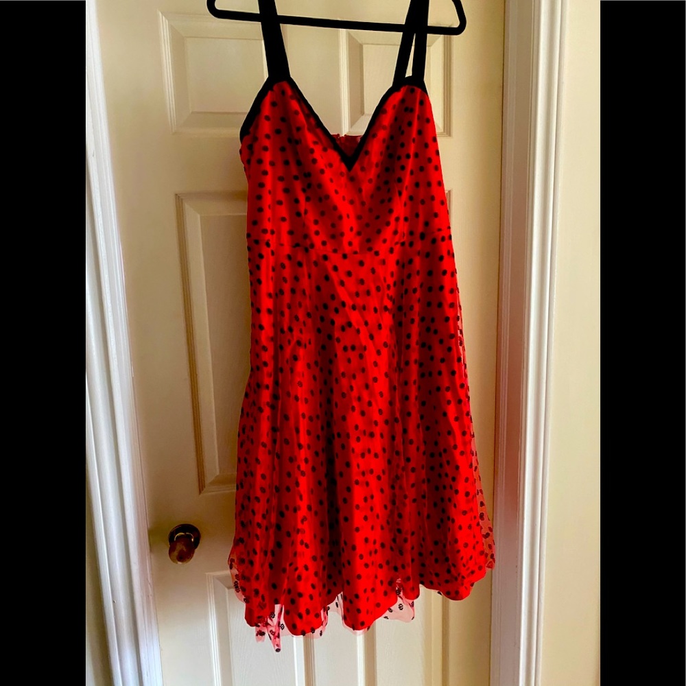 Rebel Love Red Dress with Red and Black Overlay